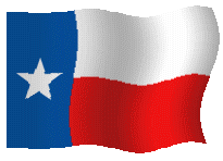 texaswavingflag.gif